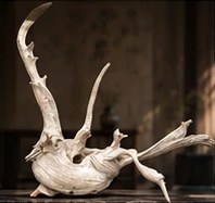 Driftwood Form